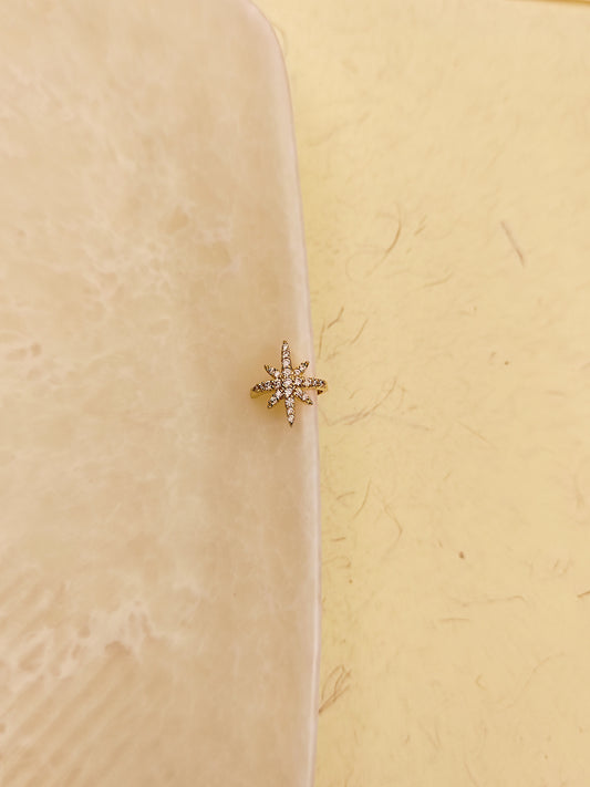 173 Gold Star Clip-On